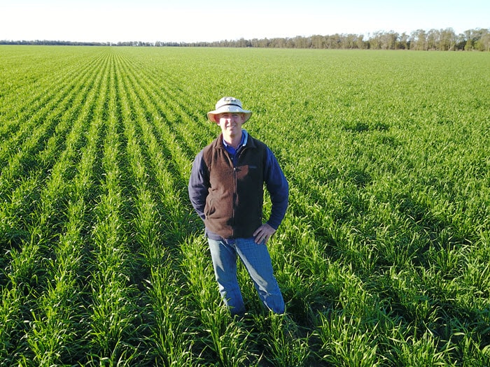Walking the sorghum